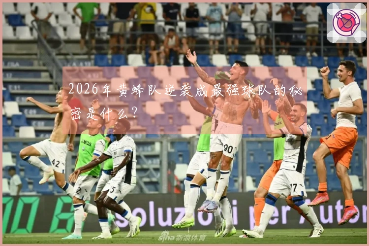 2026年黄蜂队逆袭成最强球队的秘密是什么？