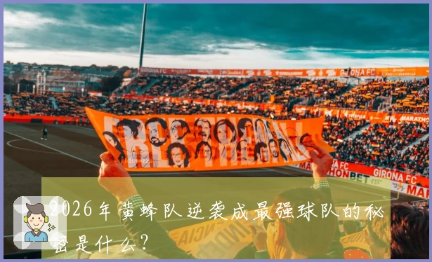 2026年黄蜂队逆袭成最强球队的秘密是什么？